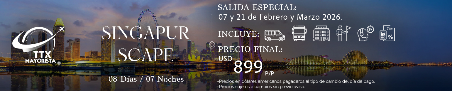Banner Singapur TTX