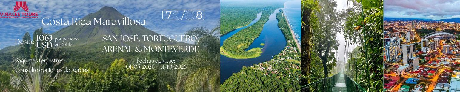 Baner Ocampo 2 VIÑALES